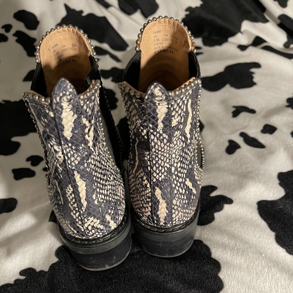 Women’s Python Boot & Belt ! - Picture 5 of 8